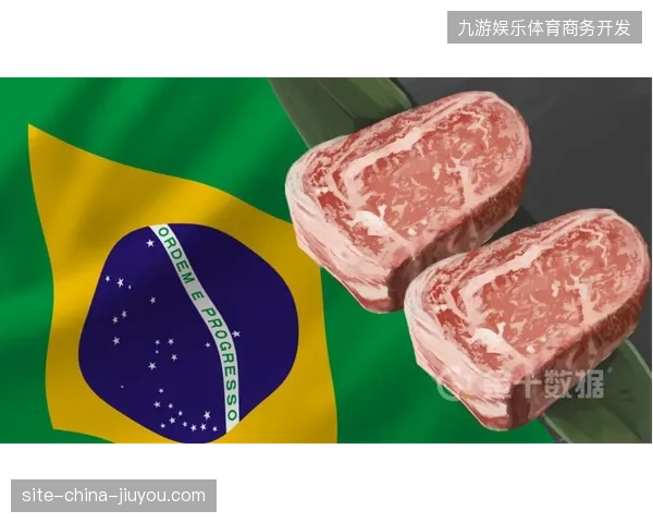 数据模型看衰巴西前景，高盛与Opta两大机构预测其夺冠概率均未进前五